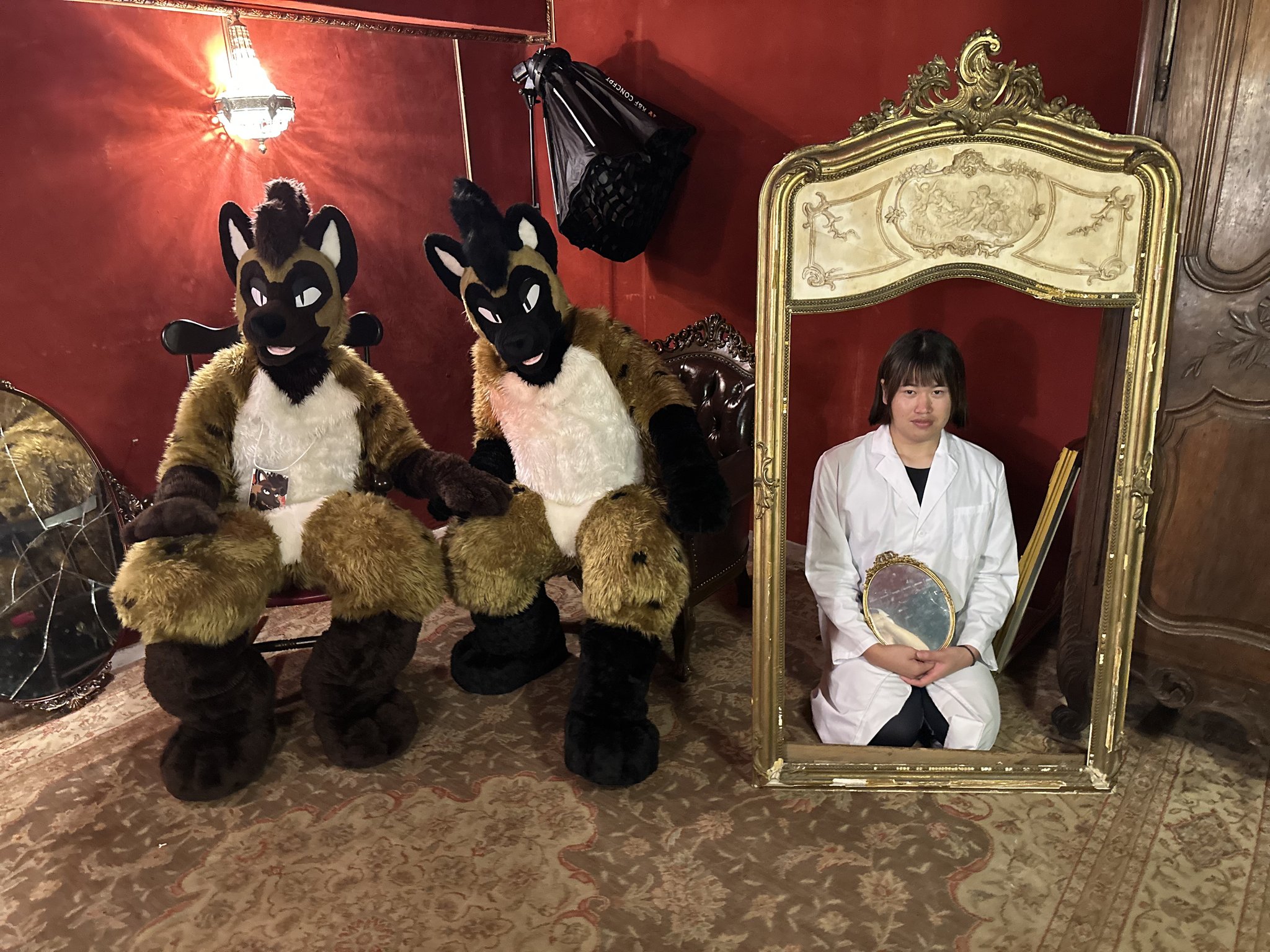 くらげページです♡ 今日のクラゲさん - Search / X