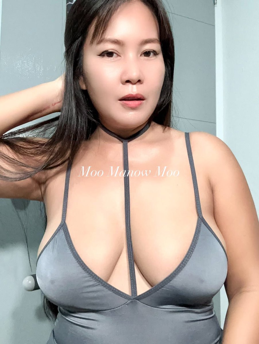 Moo Manow Moo 🇹🇭 tweet media