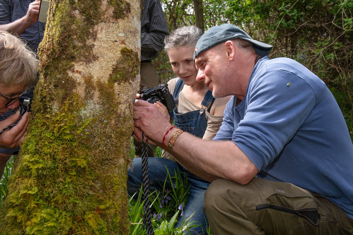 Help the Our Rainforest Futures project by filling in their short survey! buff.ly/YAQTW0e What you tell them will help shape a funding bid for 5 years of work, which will mobilise and equip people to get stuck in to saving #ScotlandsRainforest. 
📷 John MacPherson