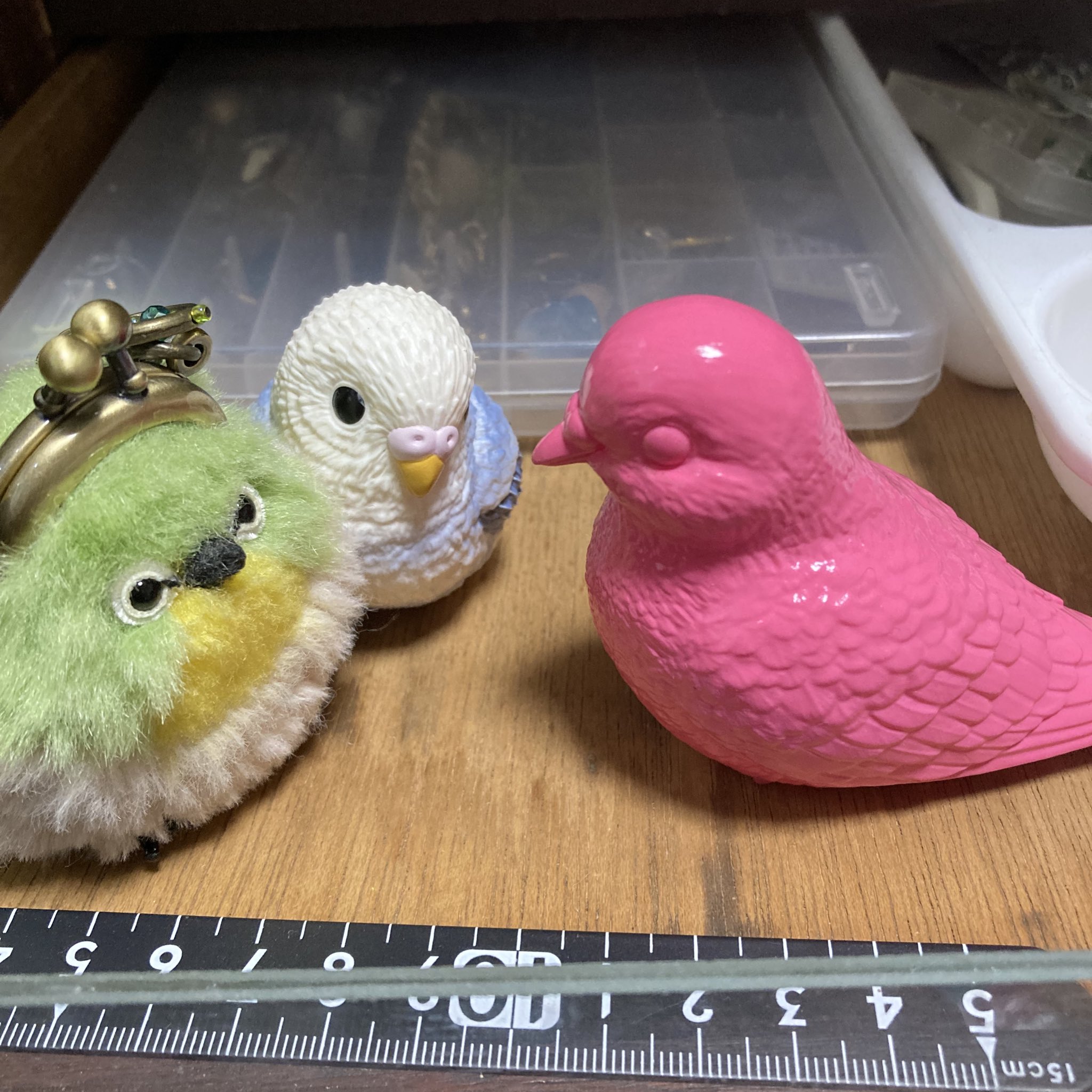 鳩◎ レース鳩モールオークション - 出品鳩「23DA26749 BC