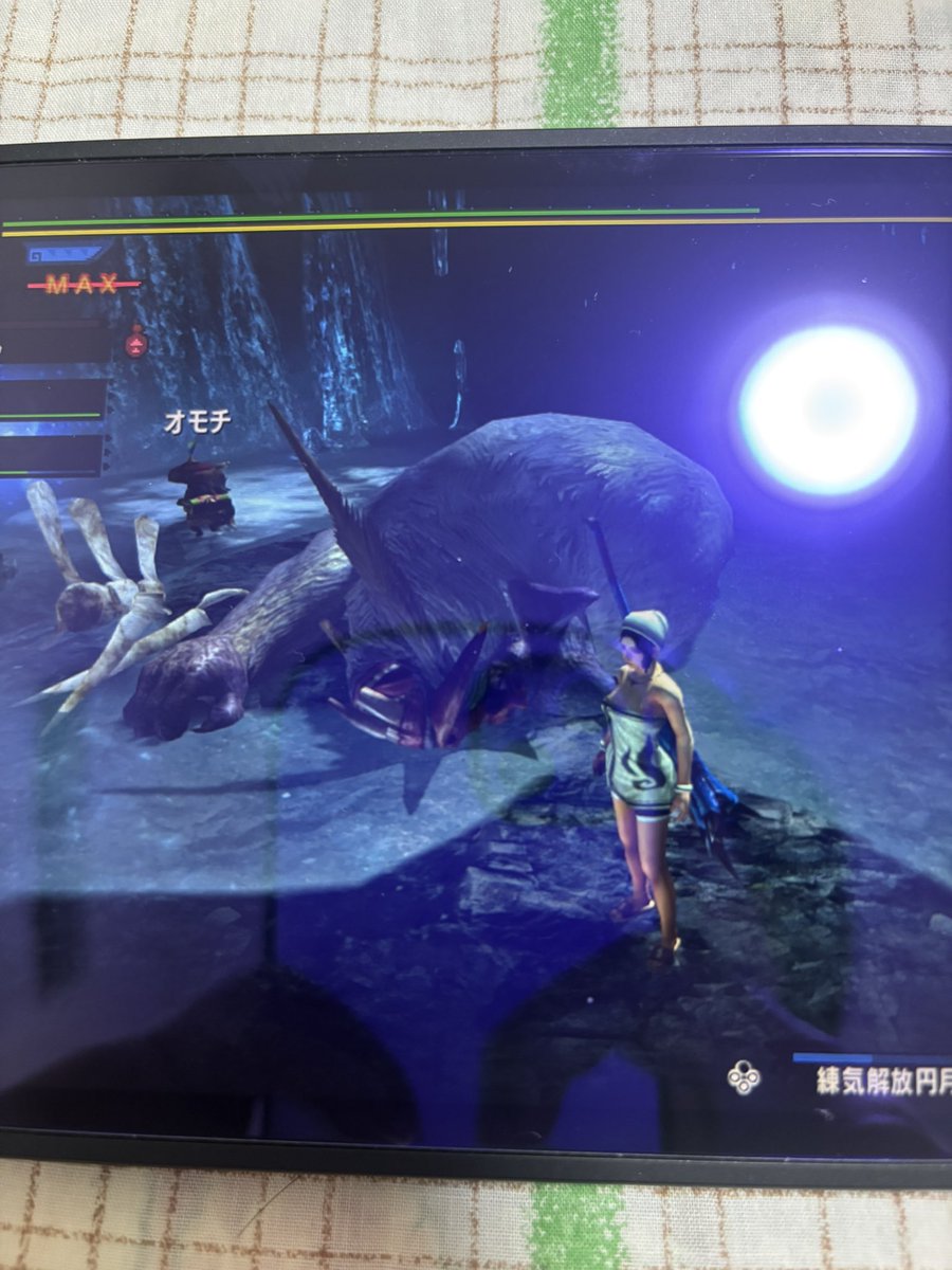 やったぜ