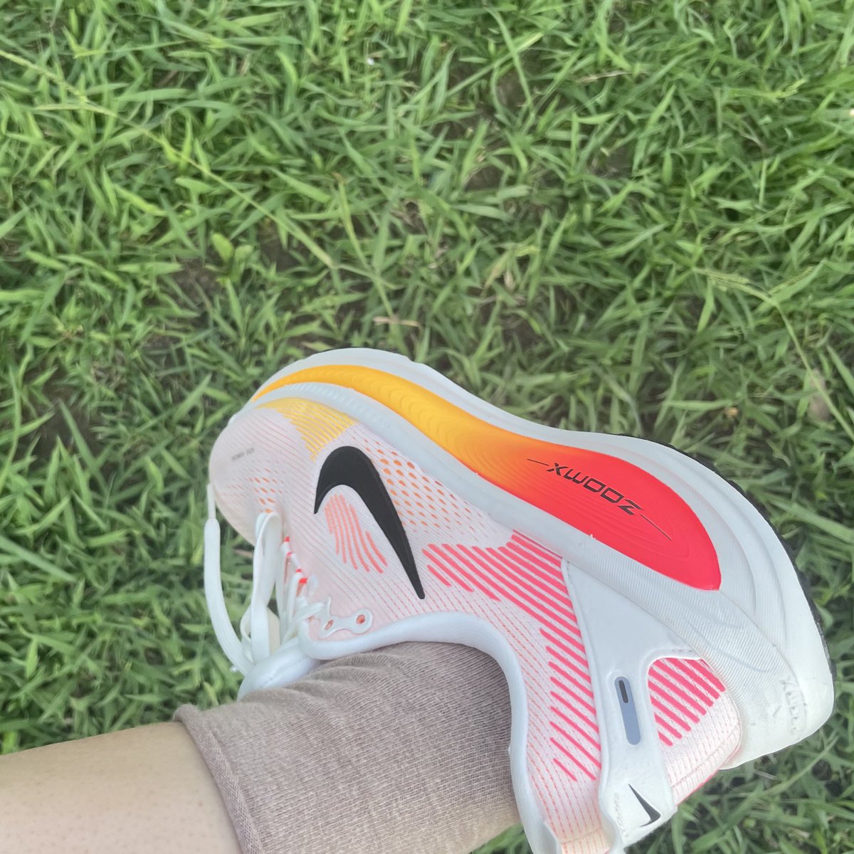 Fluffy-フラフィー🥑 on X