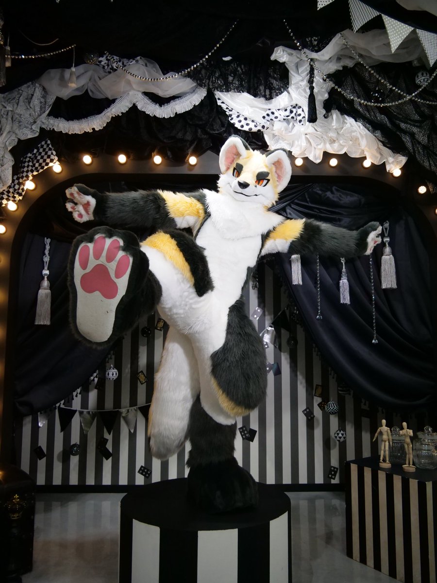 わ！バランスとらないと🫨

 #FursuitFriday