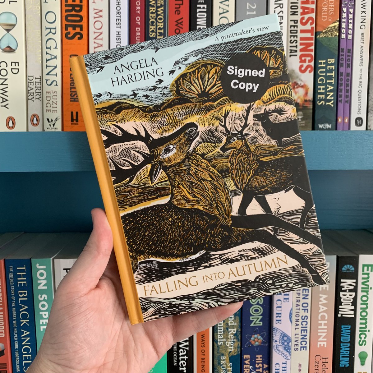 Bert’s Books tweet media