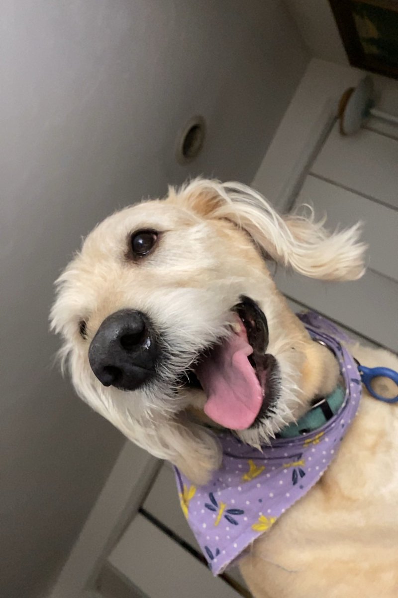 Tyler Milliken tweet media