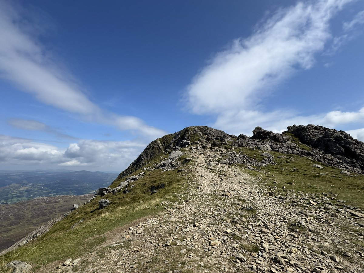 Andy Mitten tweet media