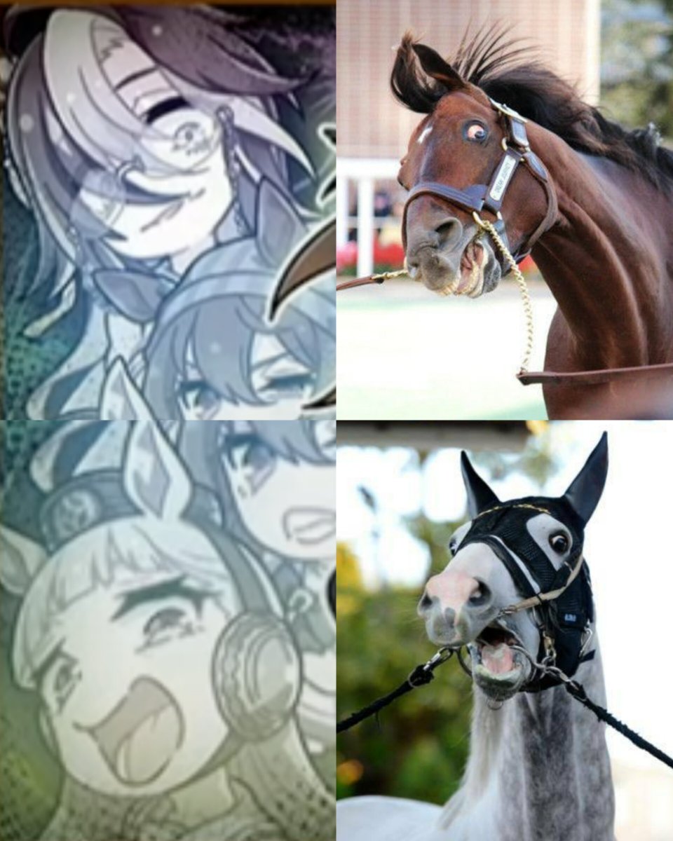 モカ (@mokaore_uma) on Twitter photo 