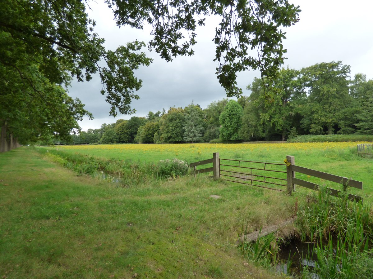 ➡️ Robert de Vries tweet media