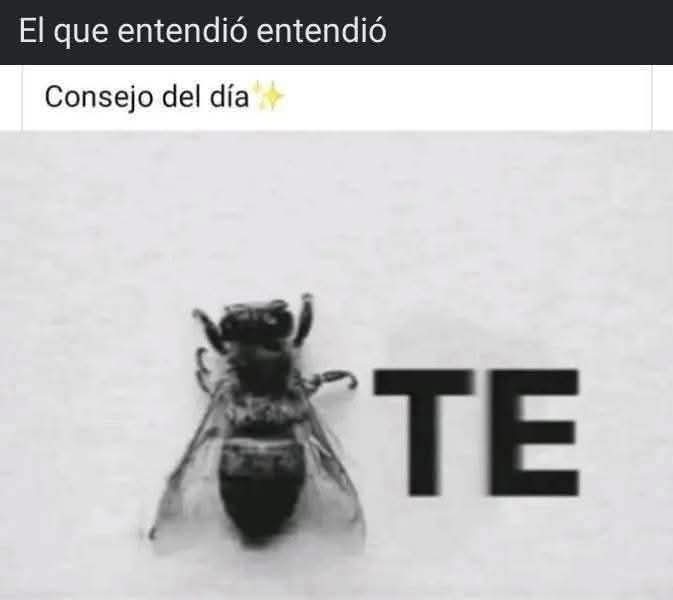 🩵Media Verónica🩷 tweet media