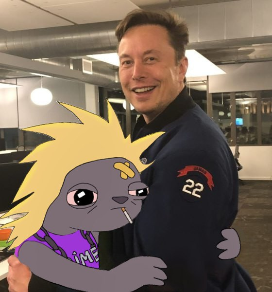 saru.dime tweet media