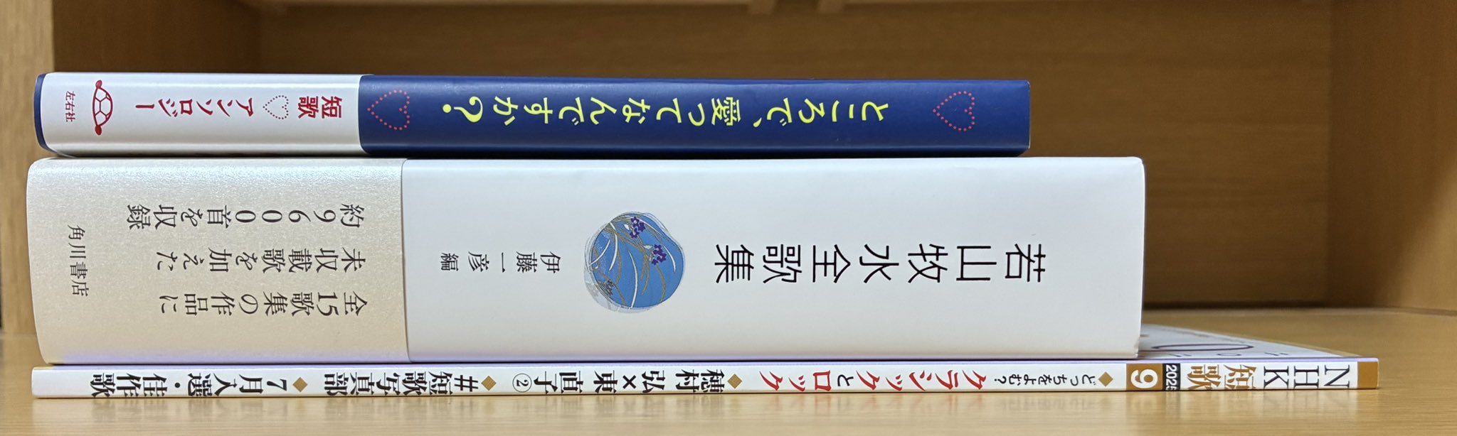 豆本 若山牧水の歌 コンノ書房 特装限定豆本 番号入 若山牧水 | 書籍検索
