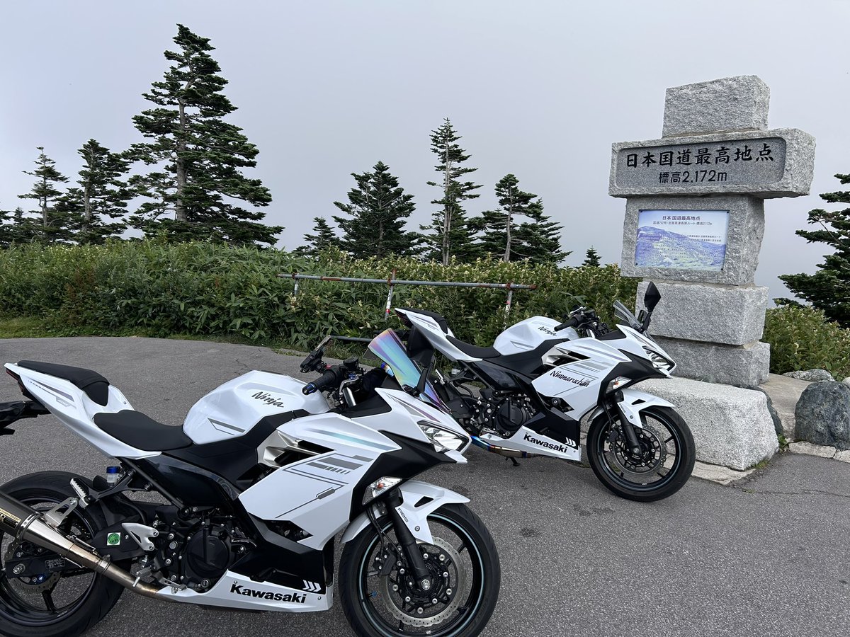 🫑ひよりん🫧 (@milk_h26) / Posts / X