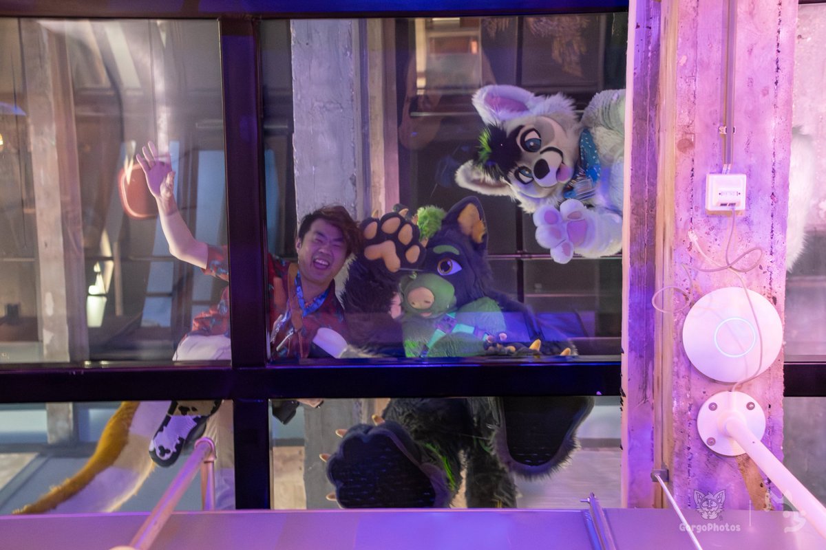 We see you! 👋 But do you see us? We're ready for our next edition in Egmond aan Zee, or Egmond at the Beach if you want to know where it's going to be at. 

#FursuitFriday #RFR #Reffurence #Furry #Convention