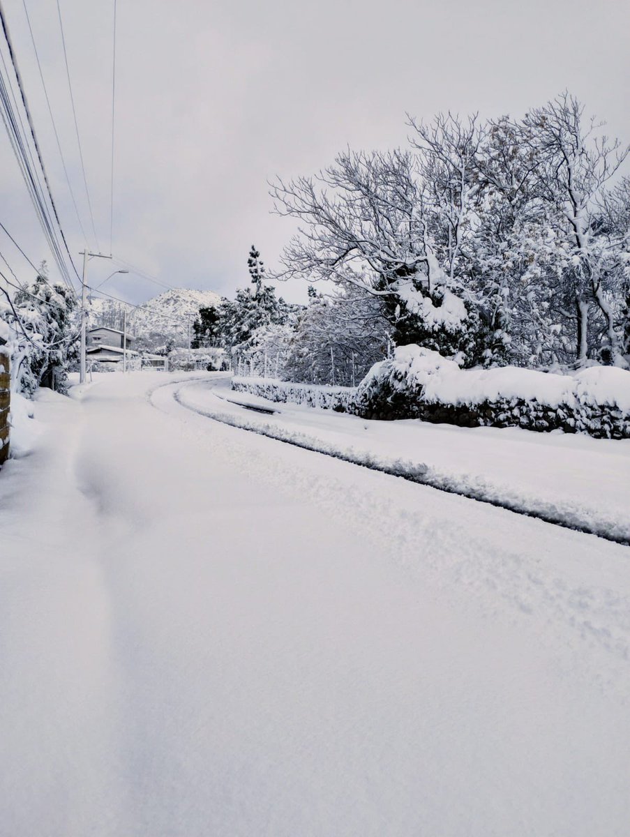 ⛄️ Buenos y congelados días. Atentos a las rutas nevadas y sectores con hielo. Precaución al manejar, el #CajónDelMaipo se vistio nuevanente de blanco.

📸 Sector San Gabriel