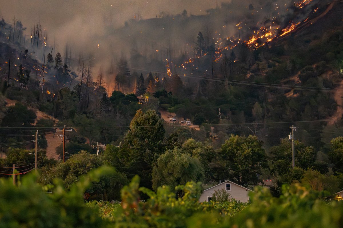 CalifNapaValley's tweet photo. The #PickettFire north of #Calistoga grew to 1,200 acres yesterday in the #NapaValley.
By night, firefighters had knocked down major hotspots thanks to coordinated air/ground efforts.

Grateful to @NapaSheriff @CAL_FIRE @CALFIRELNU @NapaFirewise + regional teams.

📸 @MikeCuffe https://t.co/wdBj3dzdDf