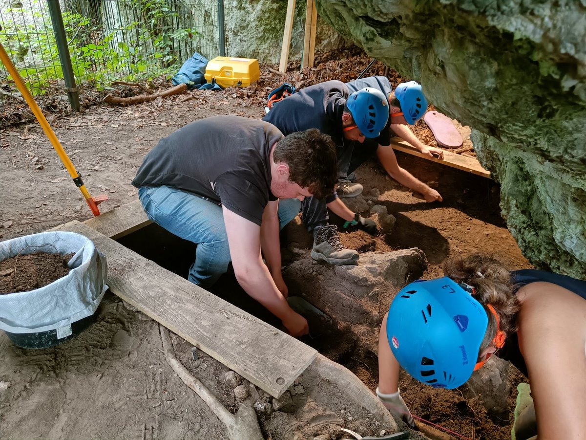 Exeter Archaeology tweet media