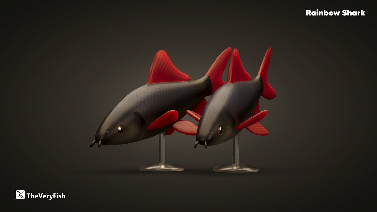 Not quite a shark nor truly "rainbow," but its dark body and vibrant red fins create a striking contrast. 

It's one of my favorite freshwater aquarium fish.

The apple snail and toy aquarium plant are nice accesories. 

#Toydesign #Fish #Rainbow #ChaosCorona