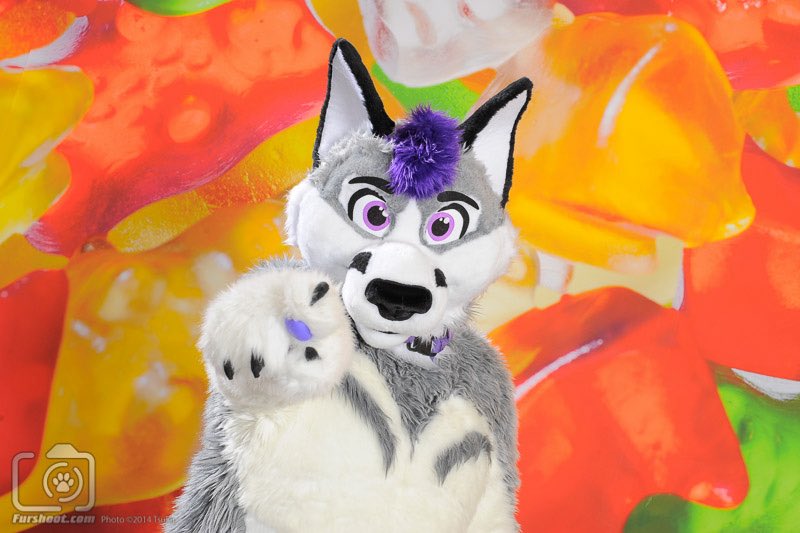 Damian Thee Husky 💜 tweet media