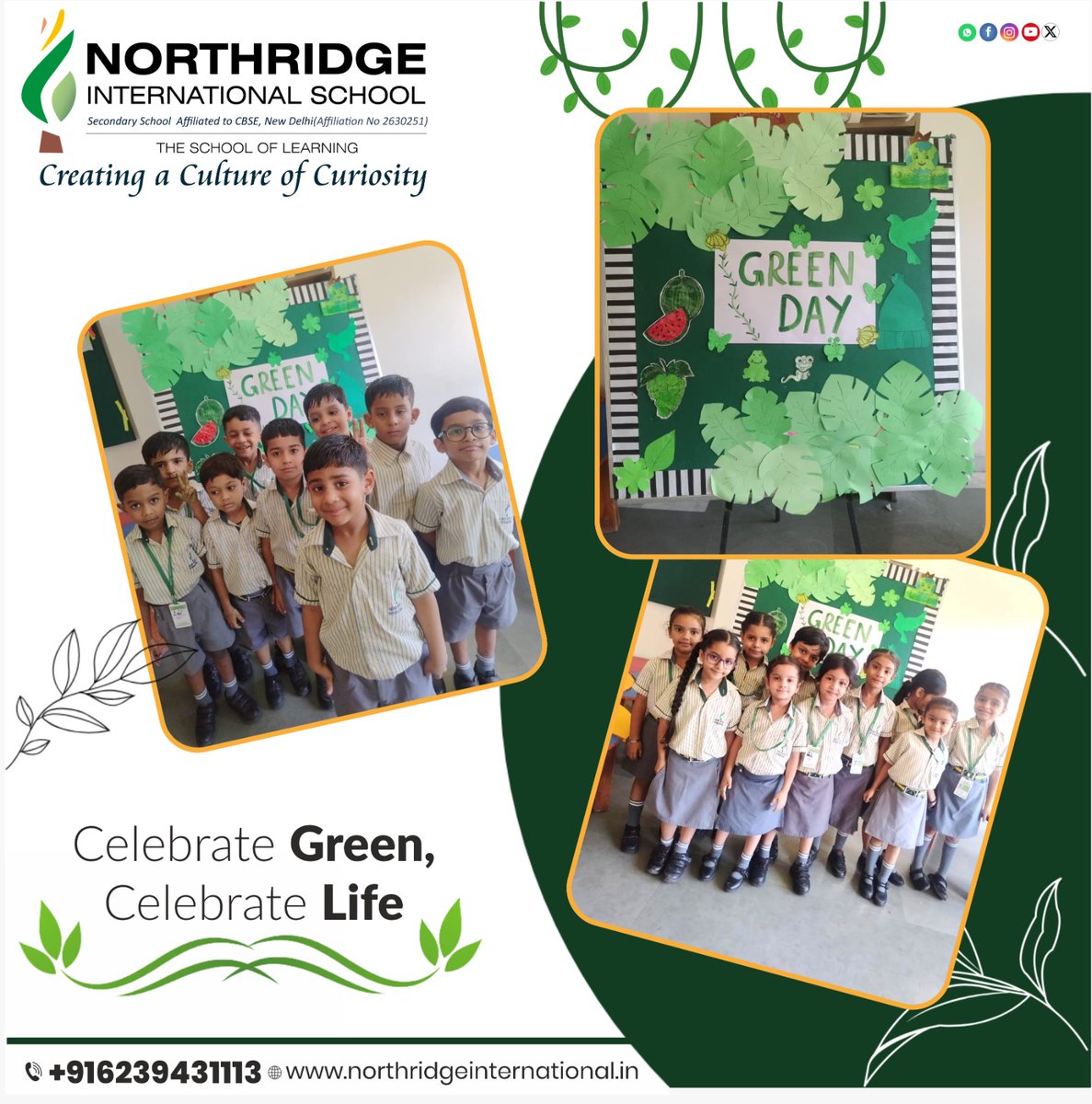 Northridge International School tweet media