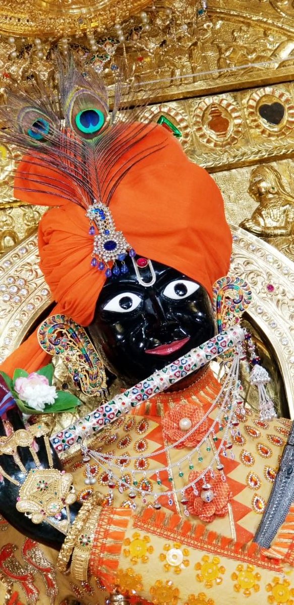 ॐ नमो भगवते वासुदेवाय नमः 🚩🙏
        शुभ संध्या ☕💐🙏