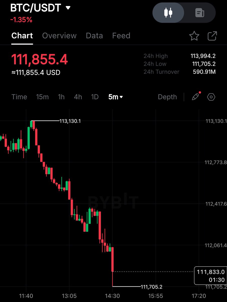 🔴ROVER: "Il Bitcoin scende sotto i 112.000 dollari"