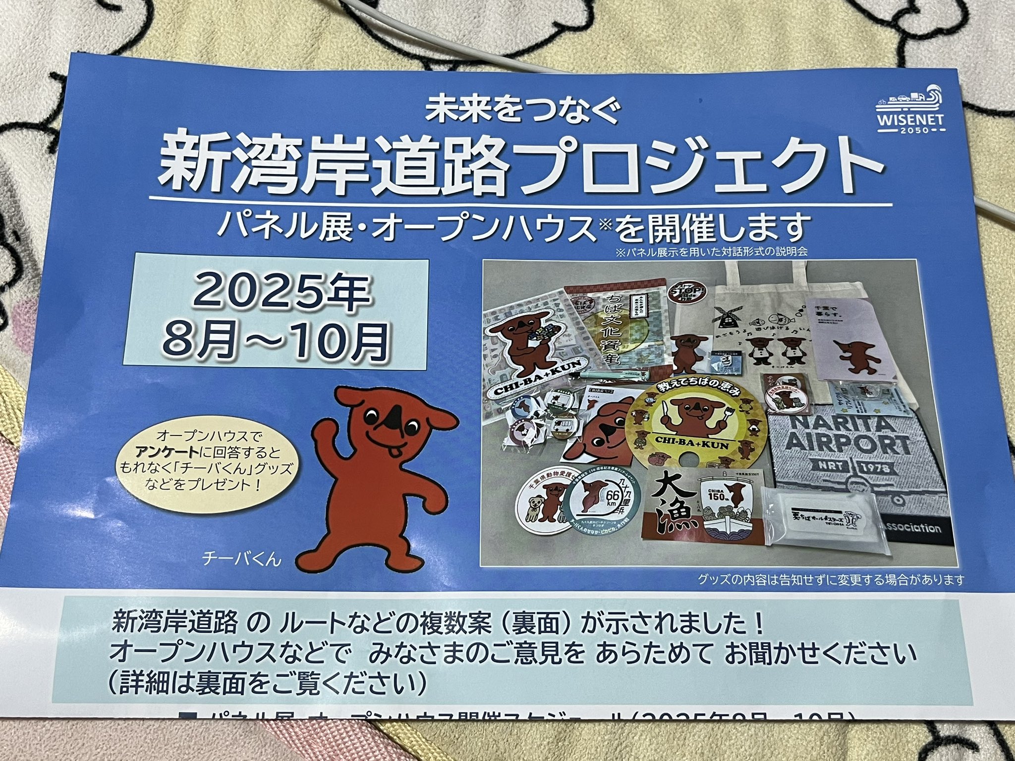 どこでもいっしょ チラシ ポスター 非売品 販促品 アニメ 日常 販促 ポスター あらゐけいいち 角川 京都