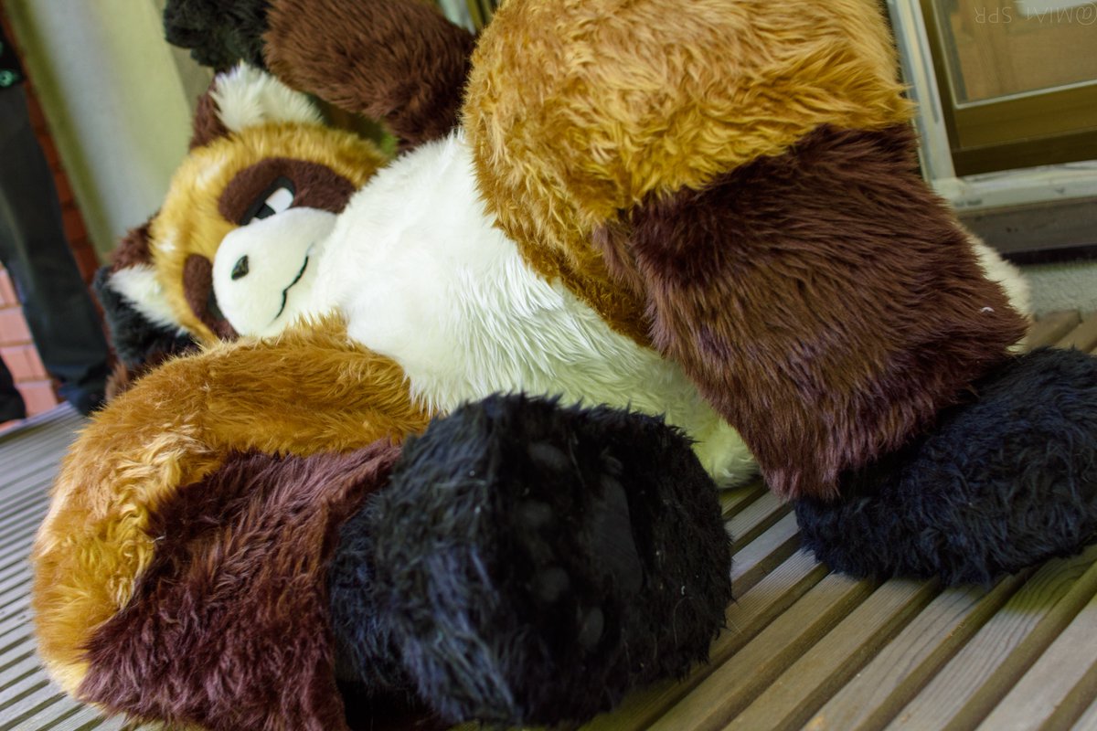 こういうアングルも いいでしょ

#ふぁりぷら
#FursuitFriday