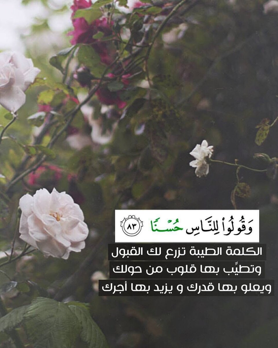 Ala Abu Nabaa - علاء أبونبعة (@alaabunabaa) on Twitter photo 