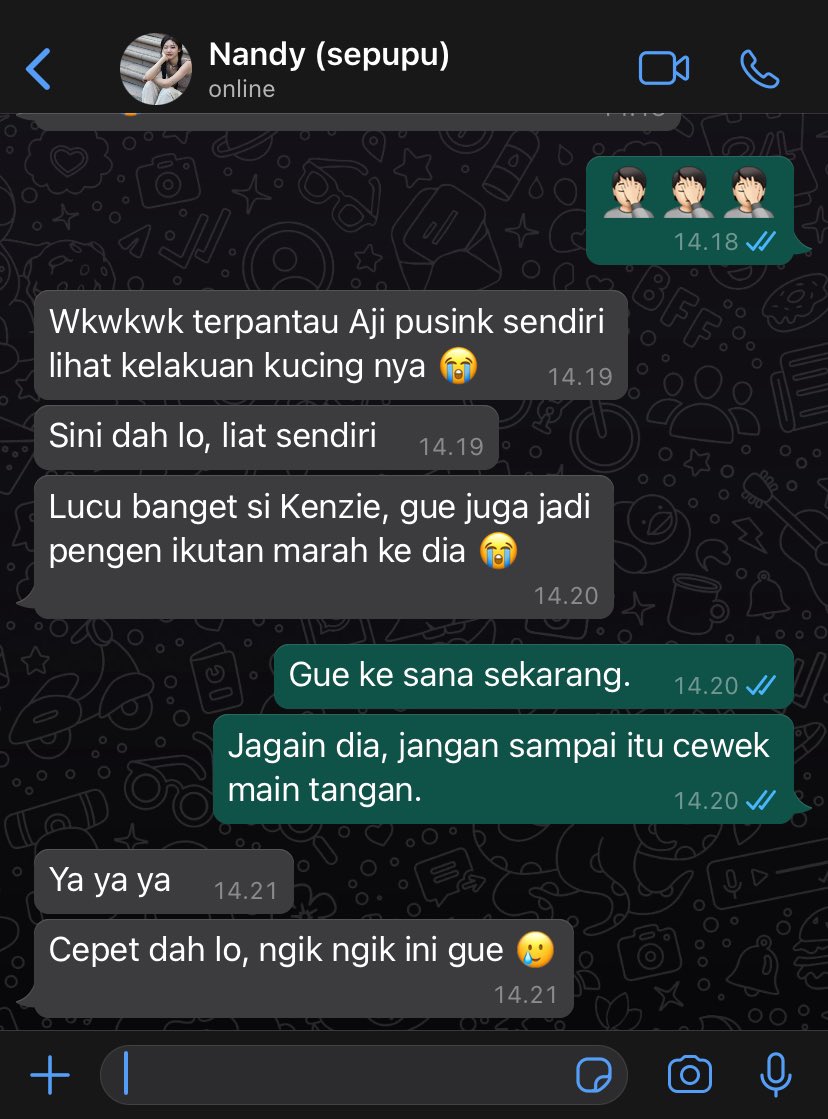 Dekaay | slow update tweet media