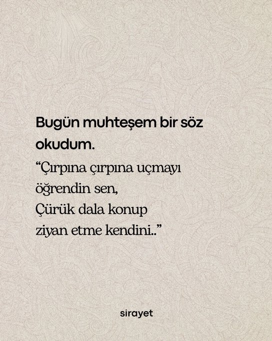 Meryem Altın (@meryemaltin_) on Twitter photo 