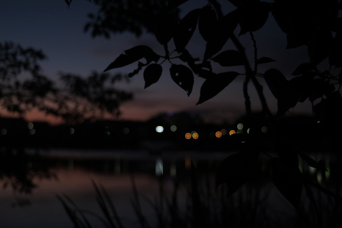 riverflowsagain's tweet image. 