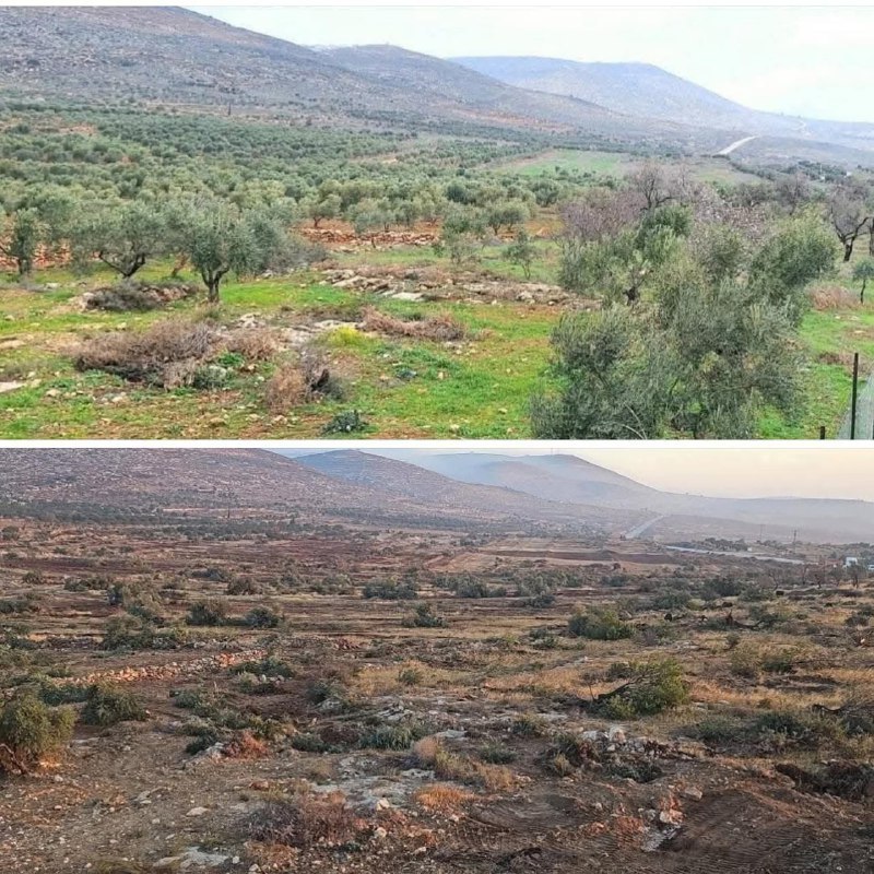 Quds News Network tweet media