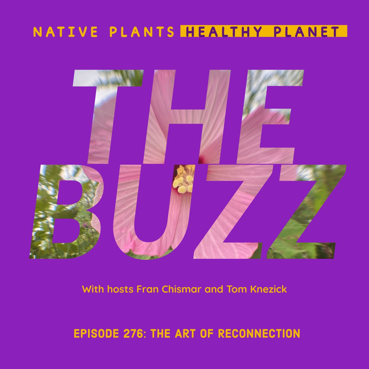Tom &amp; <a href="/nativeplantfran/">Fran Chismar</a> are back w/ a brand new episode of The Buzz. How many magazine covers has Tom been on? “That’s Hot” is nothing to sneeze about. A listeners phones in about AI. Did we give you a shoutout this week. bleav.com/shows/native-p…