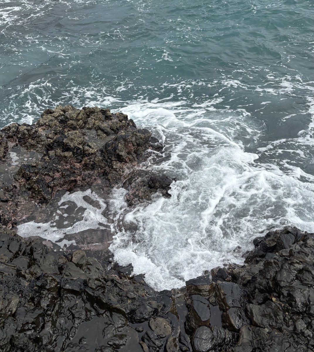 Menatap lautan banda….