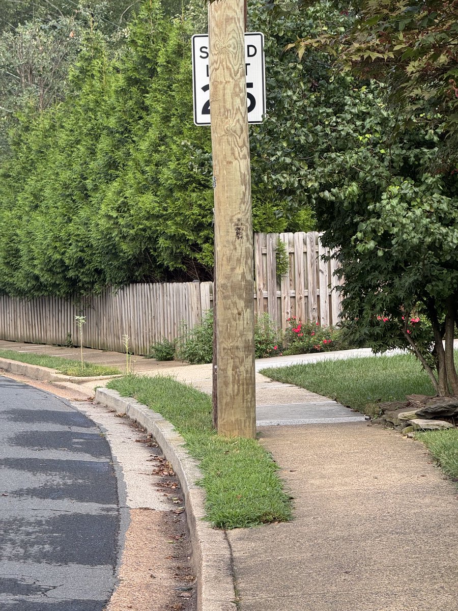 DJayHoffman's tweet photo. Hmmm?  May want to adjust the sign placement⁦ on Old Glebe @ArlingtonVA⁩ https://t.co/AG3vnRD44l
