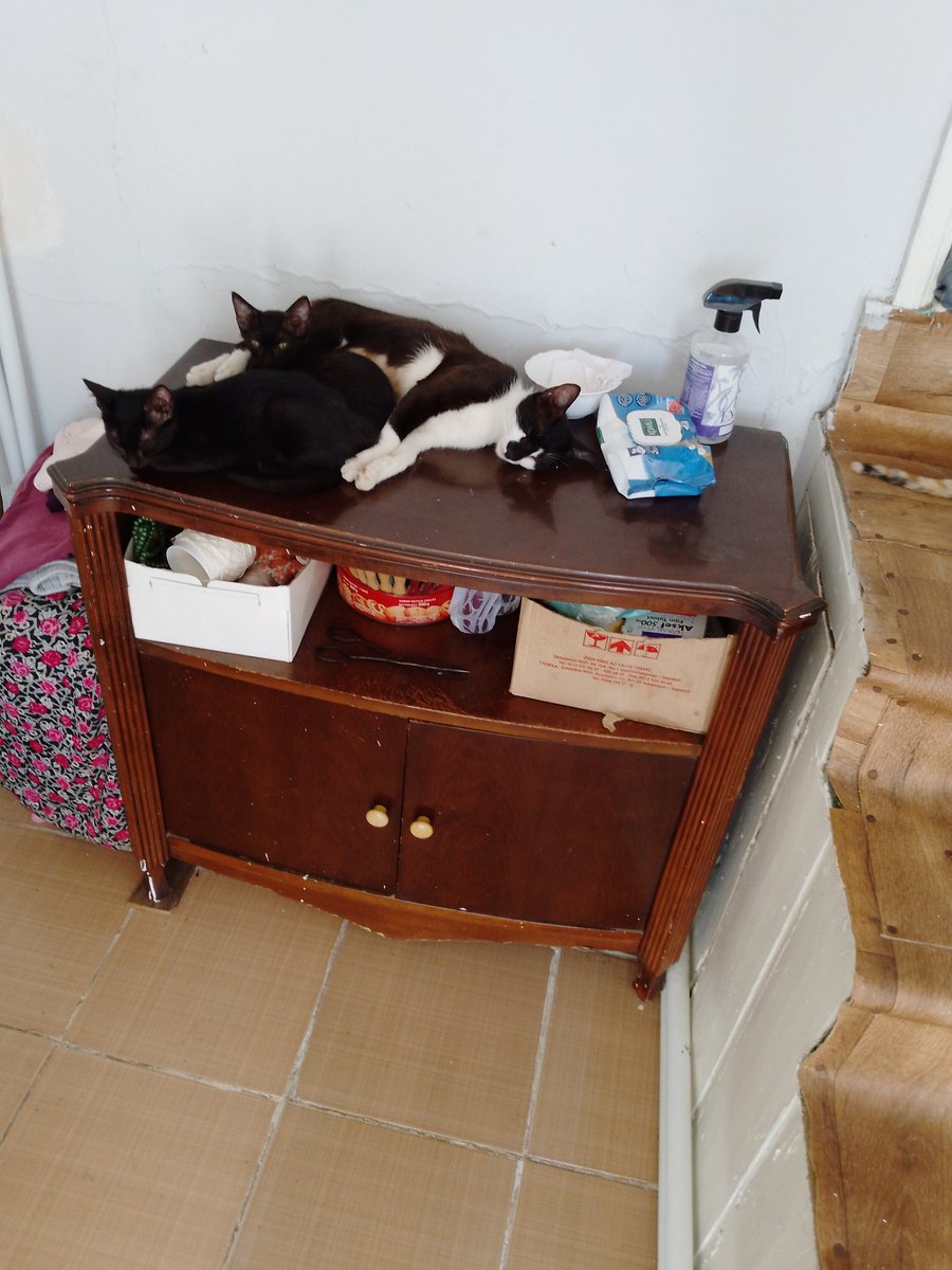 Benim tâlukat açıkta geridevar🥰