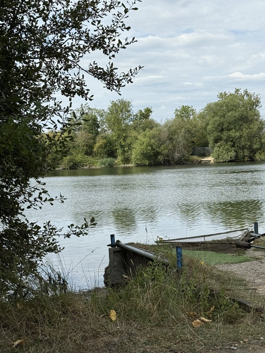 Been away for a couple of weeks. 
8 hrs after touching down I’m back at home on the bank. Rods out. Cold beer in hand. Better than any beach. ❤️🎣
#fishing #carpfishing #fishinglife