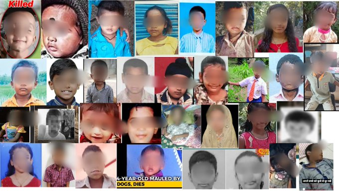 thil_sek's tweet photo. These are a few children among several children killed by stray dogs.Will People who protested for stray dogs speak up for the deceased children?
@Anshumali_007  @LekhakAnurag @BalambalMurali @Indumakalktchi @speakshoutroar @Humanetoanimals @OpIndia_com @TheCommuneMag @RGVzoomin https://t.co/Z4IqPC1KlI