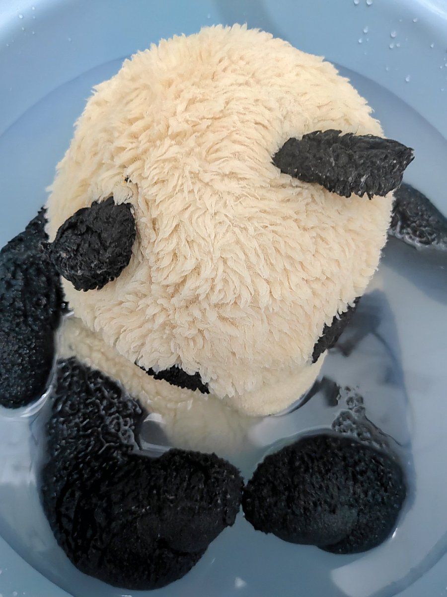GiantPanda90388's tweet photo. Wash the old panda 🐼🧺🧼🚿
＃Panda https://t.co/EXD3O1m918
