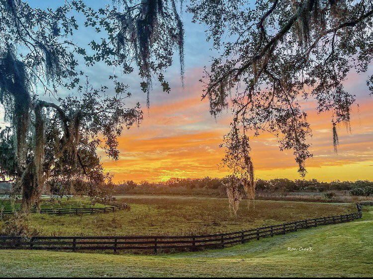 Good Morning all 
Have a great weekend 
#Florida