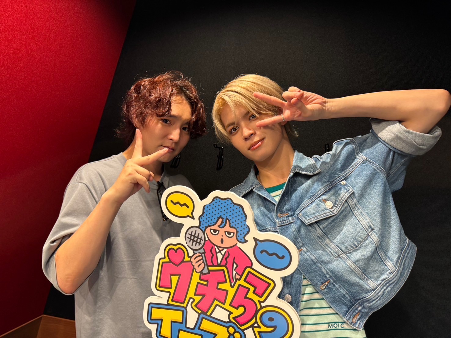 chacha(プロフ必読) Enseki Hakubutsushi ~ Dr. Latency's Freak Report -ZUN's