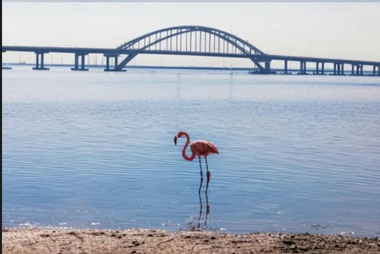 Украинцы поймут.