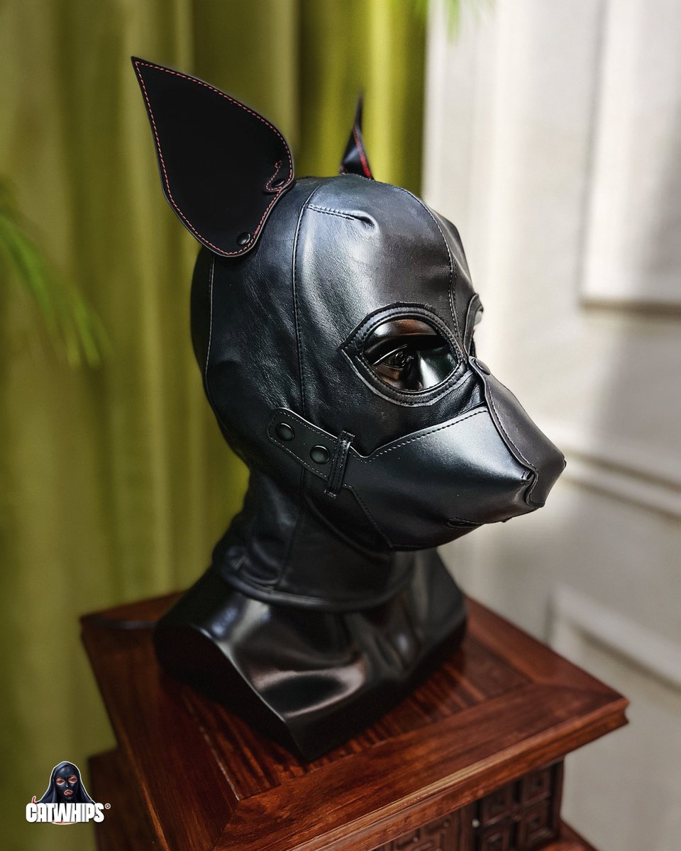 CATWHIPS BDSM tweet media