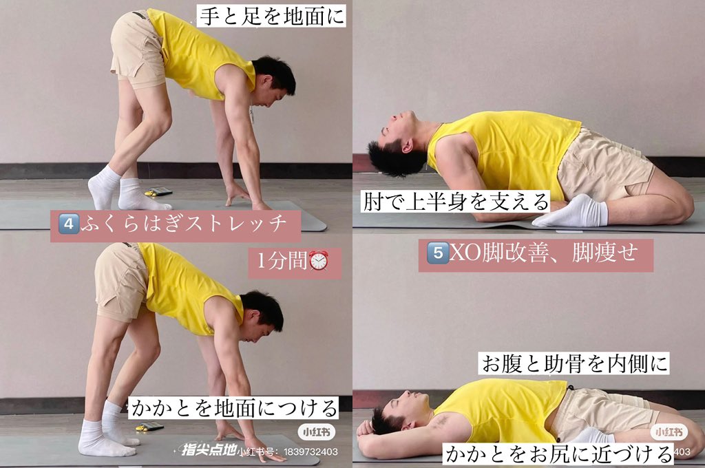 hongmeinu_china's tweet image. 姿勢を正して痩せ見えするストレッチ↓↓
筋トレ系は続かない人にもゆるーくできるのでおすすめ‼️