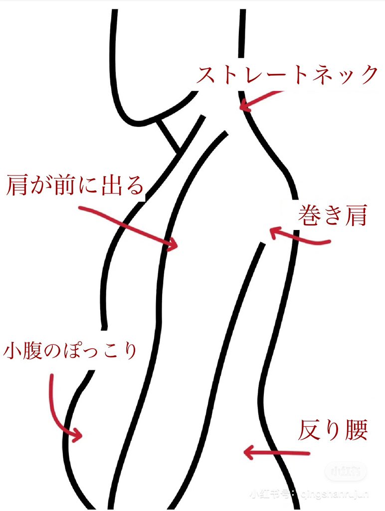 hongmeinu_china's tweet image. 姿勢を正して痩せ見えするストレッチ↓↓
筋トレ系は続かない人にもゆるーくできるのでおすすめ‼️
