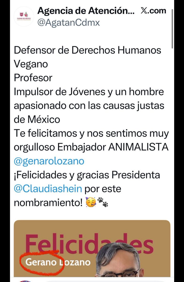 arnemx's tweet photo. La exRomerista y neomorenista @AnaJVillagran, acaba de bautizar al próximo embajador de México en Italia como #GerANO ¡qué manchada! https://t.co/6YuLTt8K83