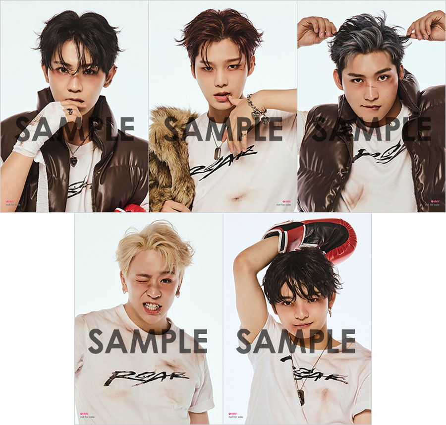 stray kids KARMA HMV ラキドロ トレカA B 18枚コンプ M10963