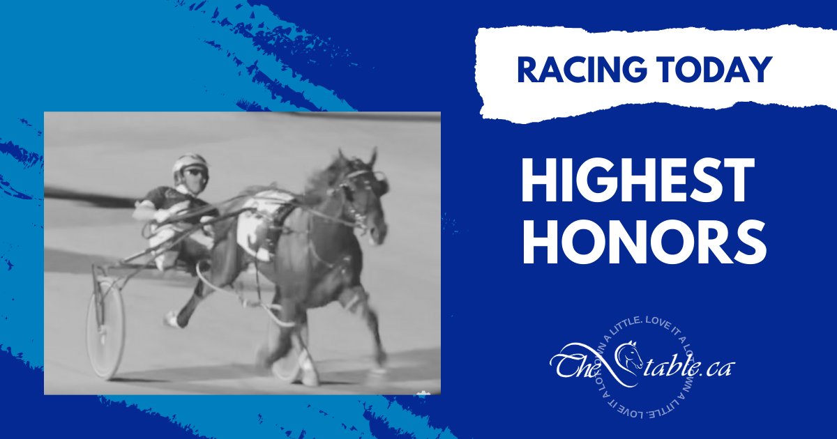 HIGHEST HONORS is our sole starter for Friday, racing in the Buckeye Stallion Series at Scioto Downs:

thestable.ca/upcoming-races/

#ownalittleloveitalot
