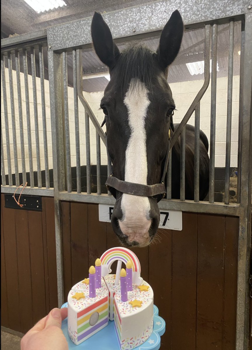 Police Mutual (@policemutual) on Twitter photo Mane man - PH Elgin from <a href="/PSOSHorses/">Police Scotland Horses</a> celebrated his 13th birthday recently. There was cake but no day off for the busy mounted team.
orlo.uk/MI8qL Mane man - PH Elgin from <a href="/PSOSHorses/">Police Scotland Horses</a> celebrated his 13th birthday recently. There was cake but no day off for the busy mounted team.
orlo.uk/MI8qL