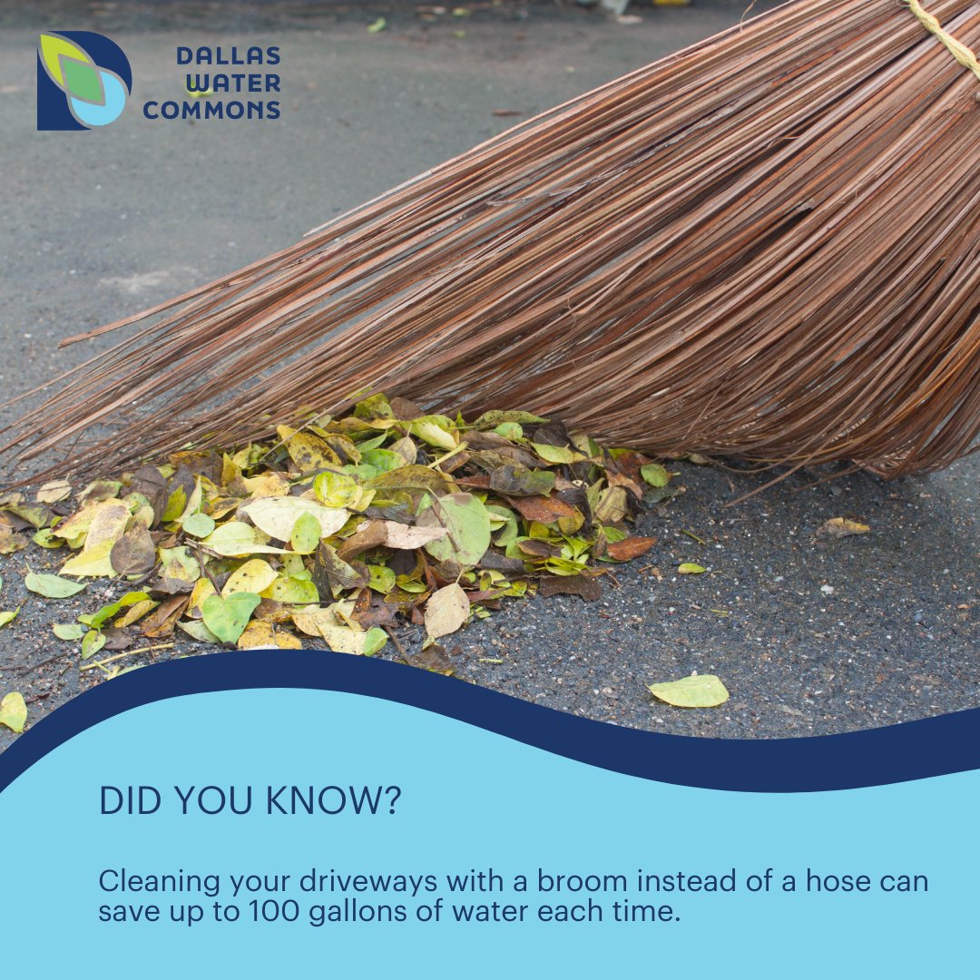 #DallasWaterCommons #DallasCommons #TheCommons #education #citypark #waterconservation #Sustainability #environment #wetlands #urbanplanning #Parks #DallasParksCoalition #waterlab #urbanwater #nature #NatureOfUrbanWater #texasrunsonwater